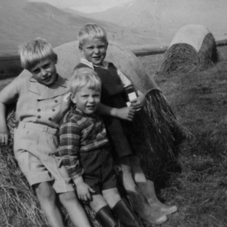 Garðshornsbræðurnir Pálmi, Sigurður og Gunnar við heysátu, önnur slík í baksýn, báðar með strigaábreiðu.