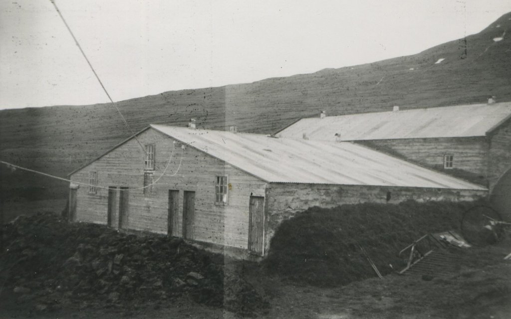 Fjárhúsin um 1960