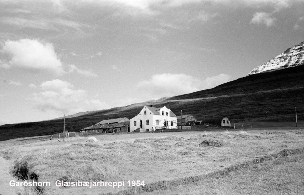 Garðshorn 1954