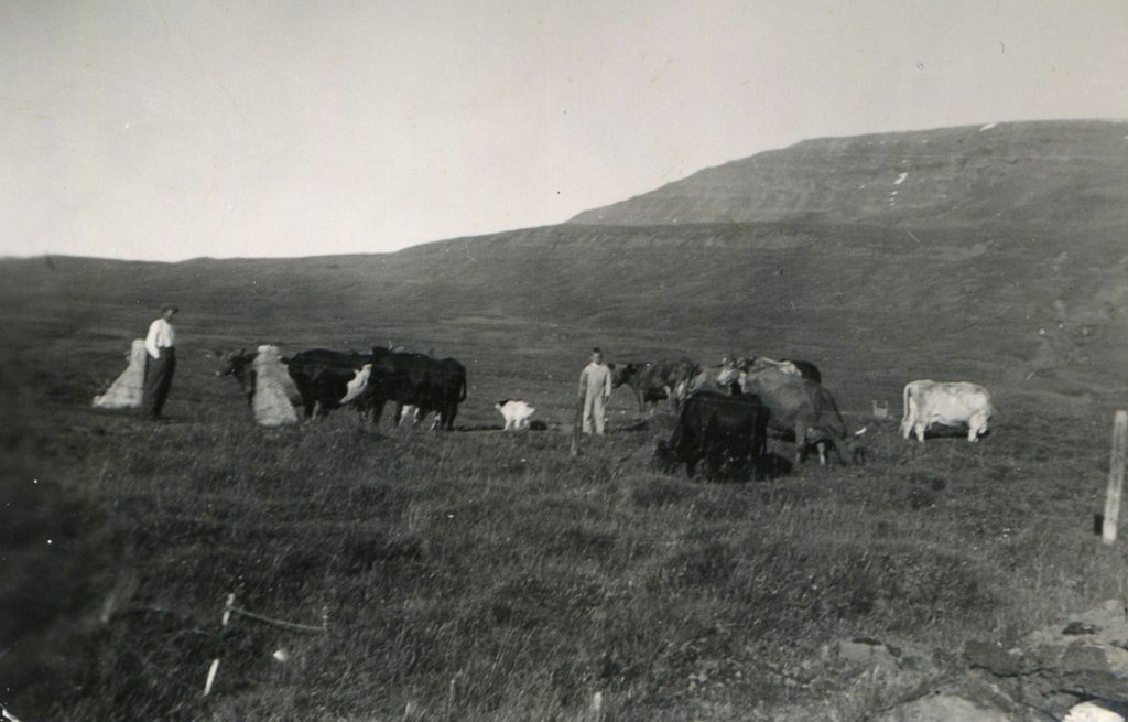 Steini og kaupamaður
