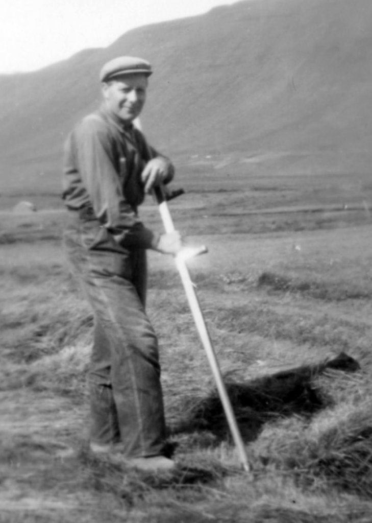 Pabbi við slátt