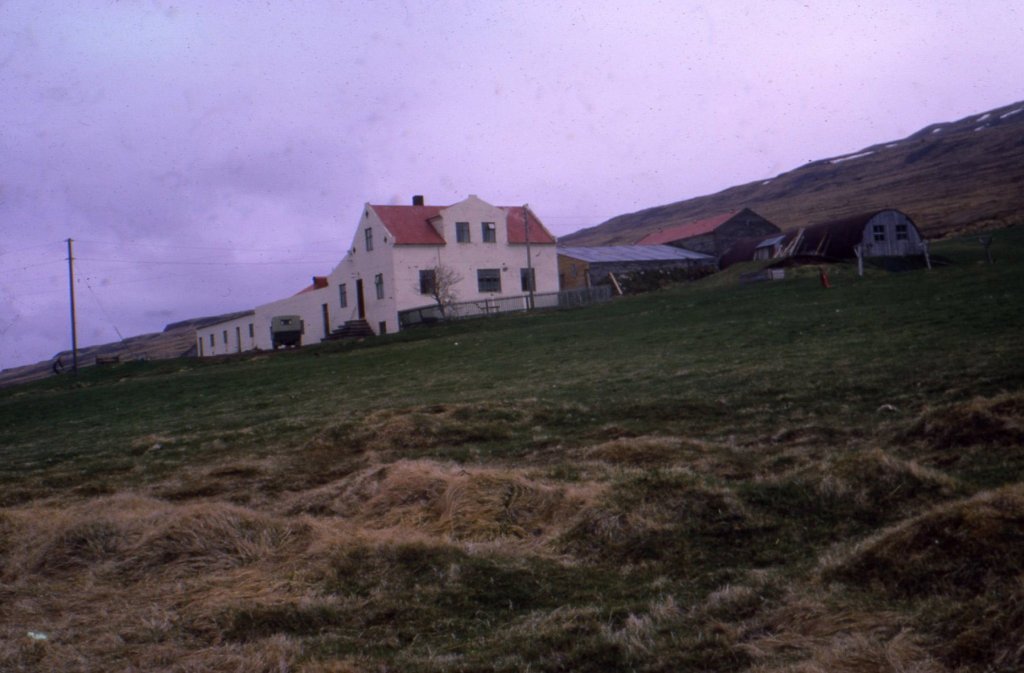 Garðshorn 1967