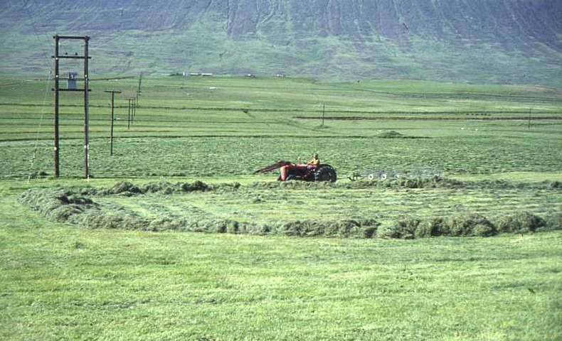 Heyskapur eftir 1967
