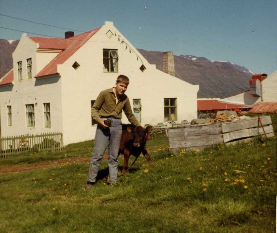 Steinar með kálf