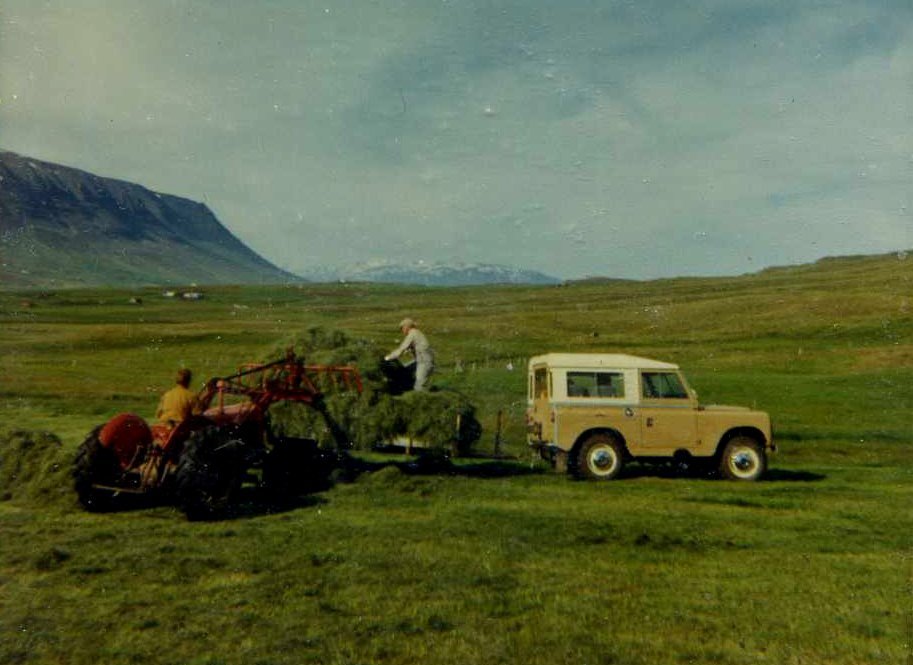Heyskapur