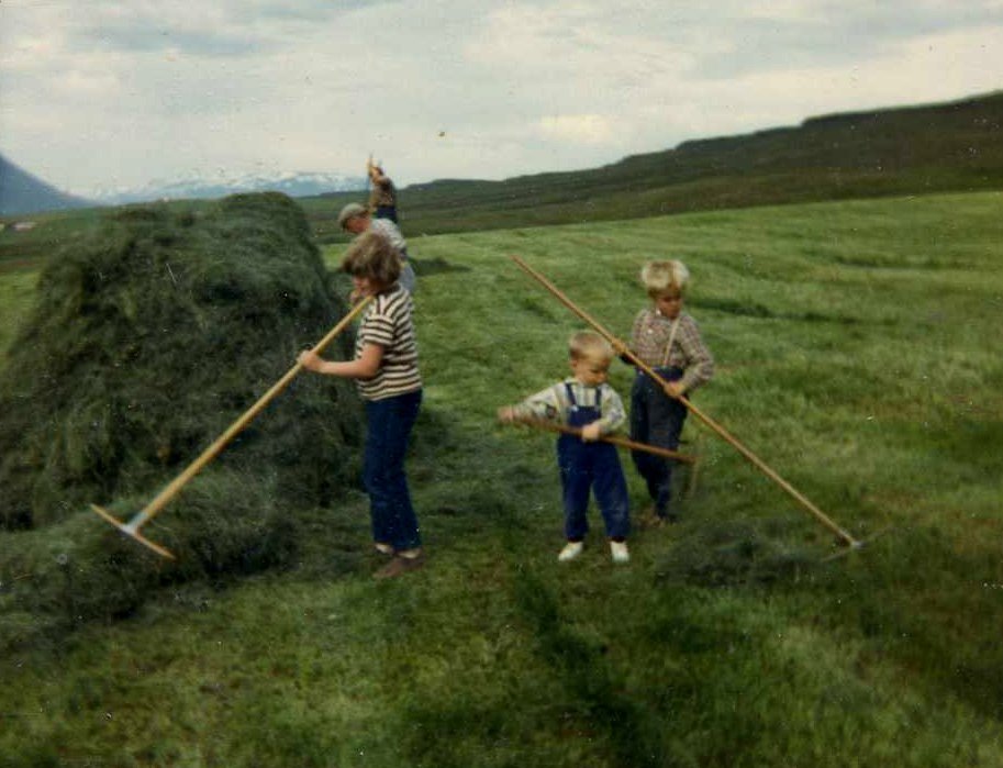Heyskapur