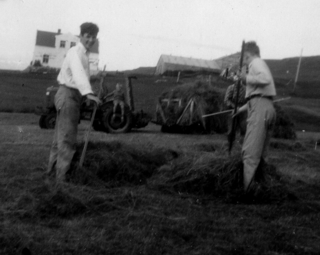 Heyskapur í Garðshorni