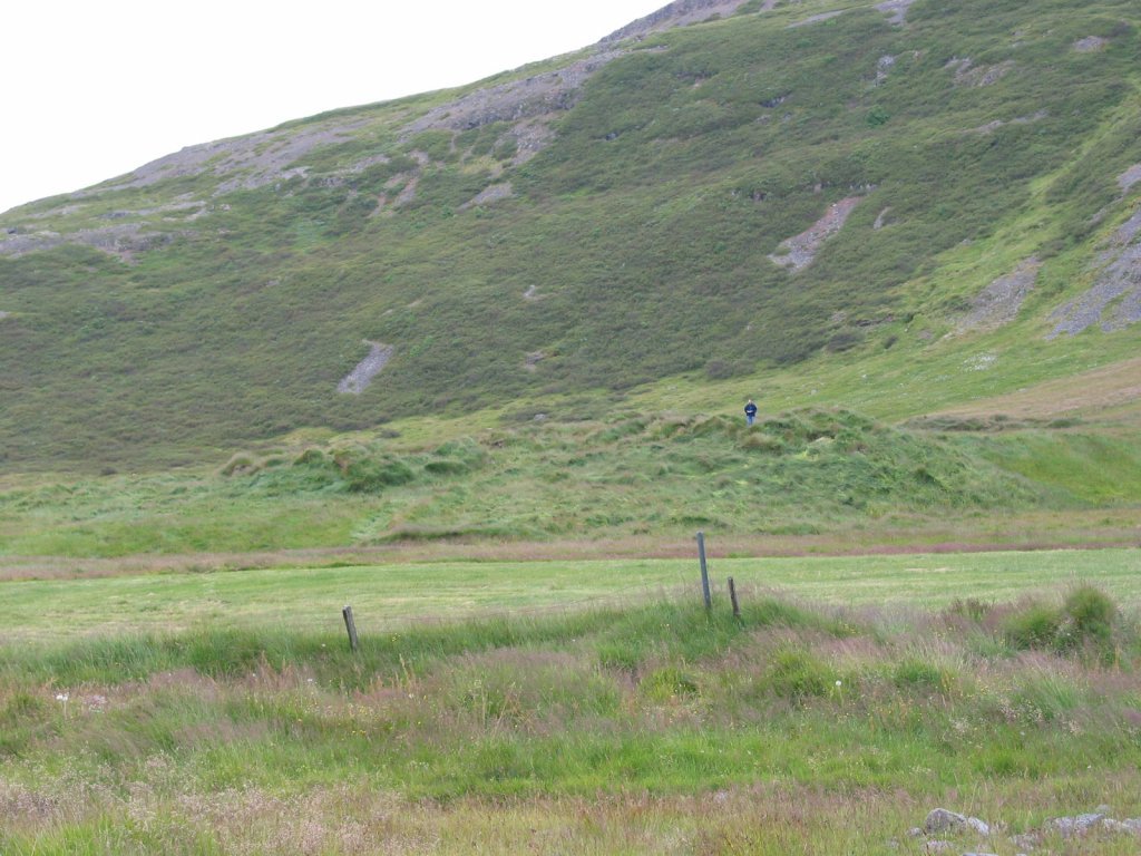 Botn í Mjóafirði 2006